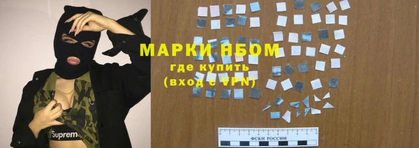 шишки Заволжье