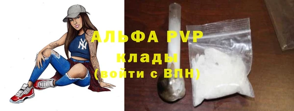 шишки Заволжье