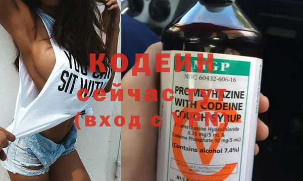 шишки Заволжье