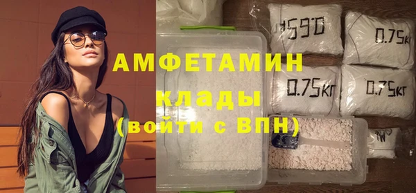 шишки Заволжье