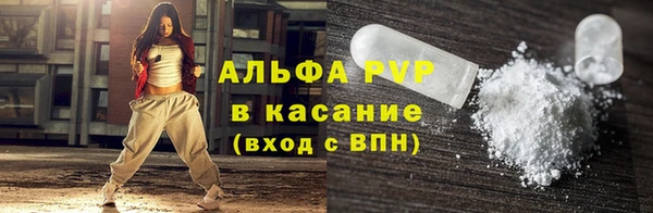 шишки Заволжье