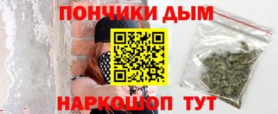 индика Моздок