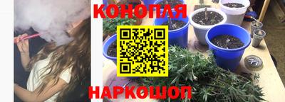 индика Моздок