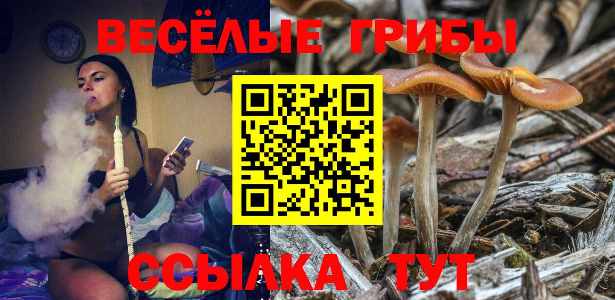 Ивантеевка  Псилоцибиновые грибы MAGIC MUSHROOMS  Галлюциногенные грибы Psilocybe  Вход с VPN 